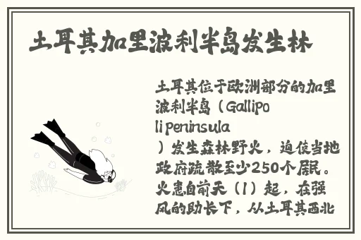 三人不停在她体内进进出1出